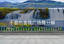 不要伤害我广场舞分解