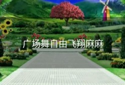 广场舞自由飞翔麻麻