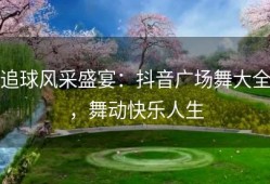 追球风采盛宴：抖音广场舞大全，舞动快乐人生