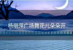 杨丽萍广场舞花儿朵朵开