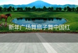 新年广场舞扇子舞中国红