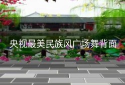 央视最美民族风广场舞背面
