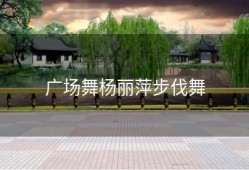 广场舞杨丽萍步伐舞
