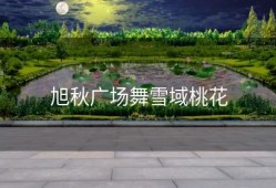 旭秋广场舞雪域桃花
