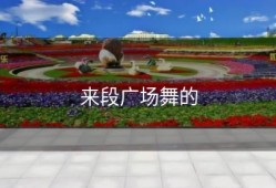 来段广场舞的