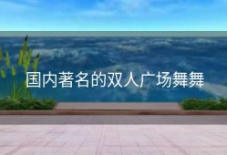 国内著名的双人广场舞舞