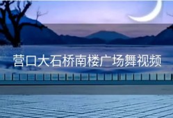 营口大石桥南楼广场舞视频