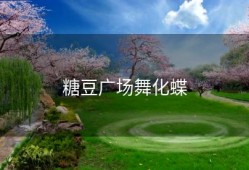 糖豆广场舞化蝶