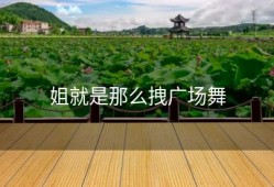 姐就是那么拽广场舞