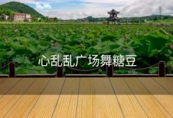 心乱乱广场舞糖豆