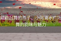 翩翩起舞的燕子：小河淌水广场舞的韵味与魅力