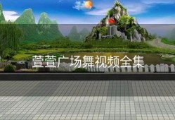 萱萱广场舞视频全集