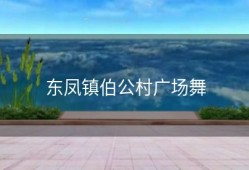 东凤镇伯公村广场舞