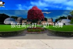 狼在高山打一望广场舞