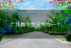 广场舞今生只为你一个