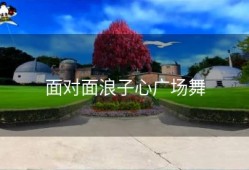 面对面浪子心广场舞