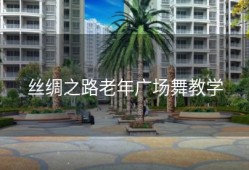 丝绸之路老年广场舞教学