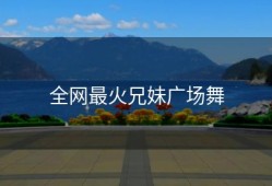 全网最火兄妹广场舞