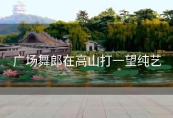 广场舞郎在高山打一望纯艺