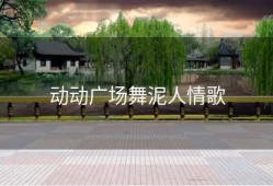 动动广场舞泥人情歌