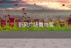 新风广场舞尚雪