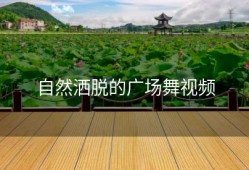 自然洒脱的广场舞视频