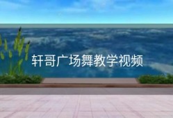 轩哥广场舞教学视频