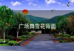 广场舞雪花背面