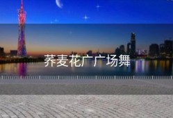 荞麦花广广场舞