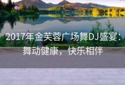 2017年金芙蓉广场舞DJ盛宴：舞动健康，快乐相伴