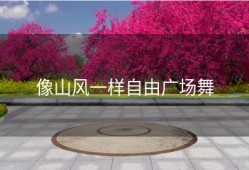 像山风一样自由广场舞