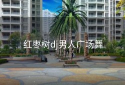 红枣树dj男人广场舞