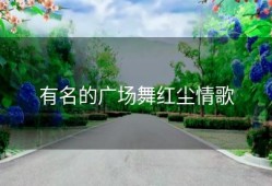 有名的广场舞红尘情歌