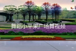 舞蹈小平果广场舞视频