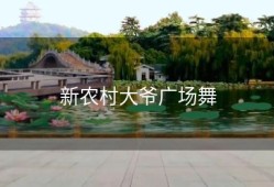 新农村大爷广场舞