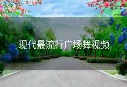 现代最流行广场舞视频