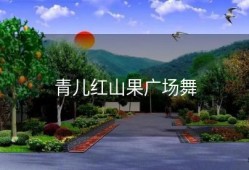 青儿红山果广场舞