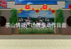茶山情歌广场舞慢动作背面