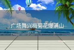 广场舞兴梅菊花爆满山