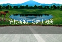农村新娘广场舞山河美