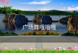 广场舞哦哦哦