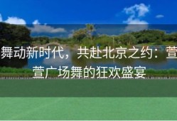 舞动新时代，共赴北京之约：萱萱广场舞的狂欢盛宴