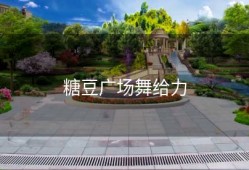 糖豆广场舞给力