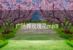 广场舞玫瑰花mp3