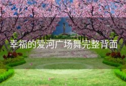 幸福的爱河广场舞完整背面