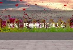 傣族广场舞舞蹈视频大全