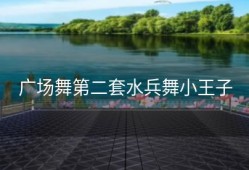 广场舞第二套水兵舞小王子
