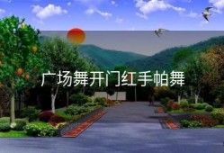 广场舞开门红手帕舞