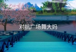 对抗广场舞大妈
