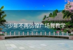 少年不再彷徨广场舞教学